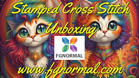 Fgnormal Stamped Cross Stitch Unboxing Fgnormal