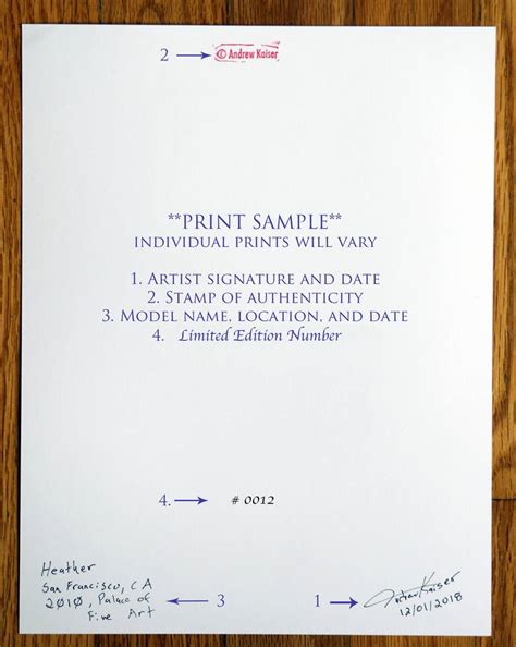 Nude The Gaze Silver Gelatin Print Limited Edition Of 15 Photography By Andrew Kaiser