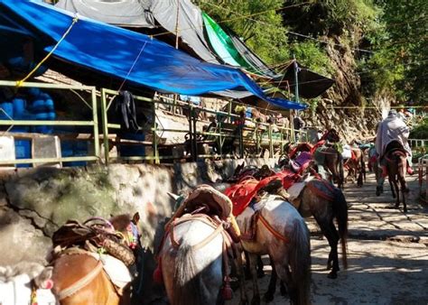 Yamunotri Temple - Yamuna Udgam Info Location History Photos