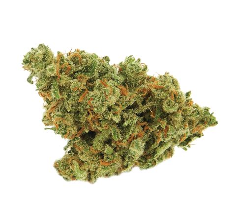 Sativa Marijuana Strains Europe | Buy Sativa Weed Flowers EU