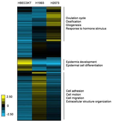 Comparative expression analysis of proteins in CM from... | Download ...