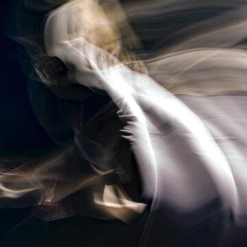 The Naked Tree Written By John R Cobb At Spillwords