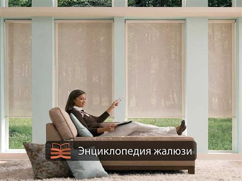 Автоматические жалюзи с электроприводом для окон, наружные, внутренние | ЭЖ