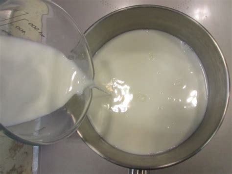 Ricetta Naked Cake Di Natale La Ricetta Di Giallozafferano