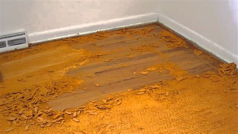 How To Remove Rug Adhesive From Wood Floor At Mae Shirley Blog