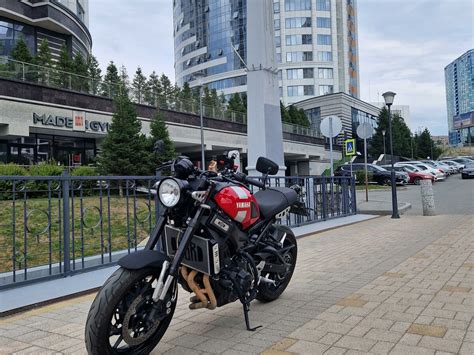 Купить б у Yamaha XSR инжектор передач в Новосибирске красный naked bike года по цене