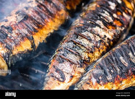 Grilled Fish On Charcoal Grill Fresh Fish Barbecue Stock Photo Alamy
