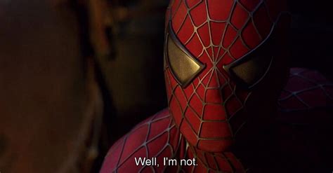 When Youre Watching Spider Man 2 With Your Girl And She Says Shes Feeling Horny R Raimimemes