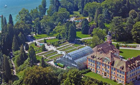 Insel Mainau Palmenhaus Exotisches Pflanzenparadies