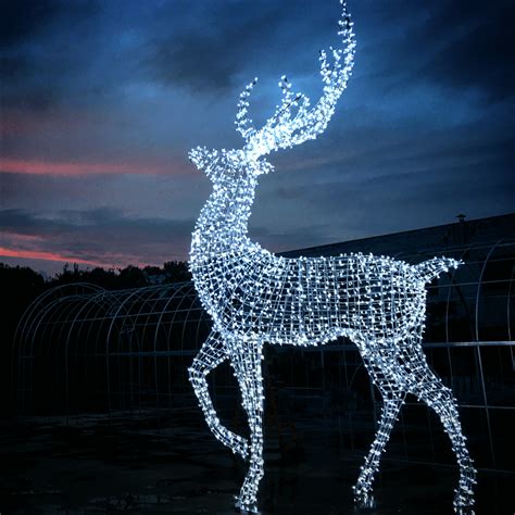 Deer Christmas lights (SHINE/Enchant) | Outdoor christmas, Christmas ...