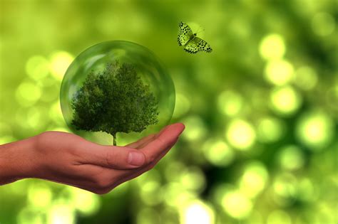 Mais de 900 imagens grátis de Sustentabilidade e Meio Ambiente - Pixabay