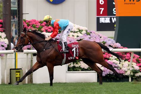 chalet ying line up 1