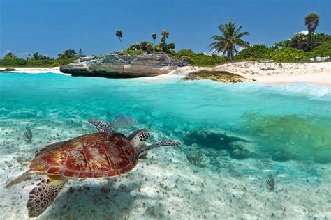 Best Places To Snorkel In The Caribbean - Scuba Diving Gear