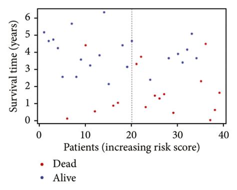 Distribution And Prognostic Analyses Of The Gene Signature In The