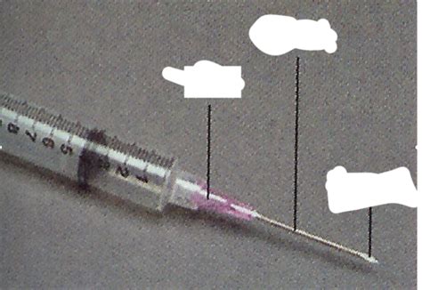 Needles Syringes Subcutaneous Intramuscular Injections On Models