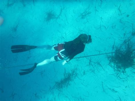 Snorkeling in the Abacos