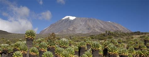 kenya attractions nyati hill cottages