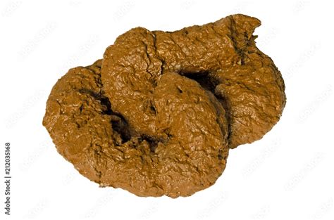 shit dung poo turd Stock Photo | Adobe Stock
