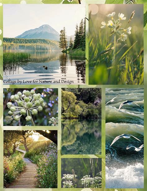 nature collage background