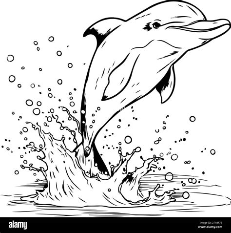 Dolphin Jumping Out Of Water Black And White Vector Illustration Stock