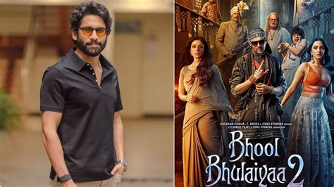 Will Naga Chaitanya star in Bhool Bhulaiyaa 2 remake? Actor's team ...