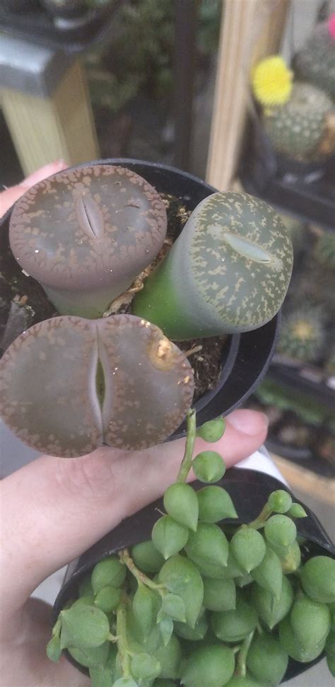 Drivers are debating the best directions to the nearest home depot 35