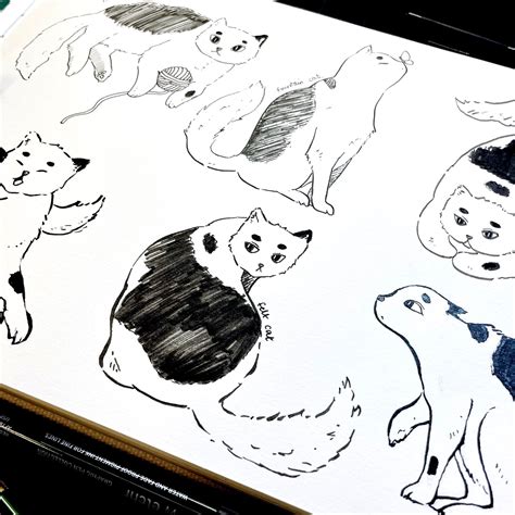 Different Types of Outlines – Etchr Lab