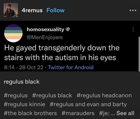 Regulus Black The Marauders Gay Harry Potter Harry Potter Marauders