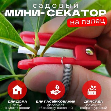 Секатор est.2021 МИНИ 2 - купить по выгодным ценам в интернет-магазине ...