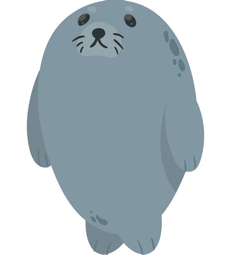 baby seal pngs