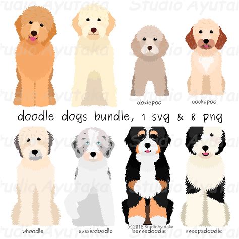 What Type Of Doodle Dogs Are There
