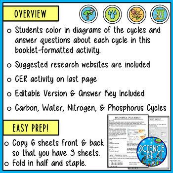 Biogeochemical Cycles Research Booklet Activity with Diagrams & Questions