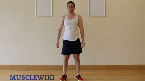 MuscleWiki - Simplify your workout