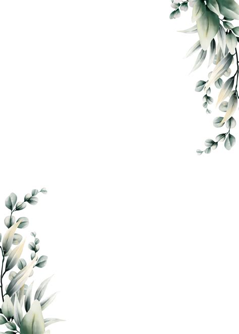 Watercolor Eucalyptus Leaf Frame Png