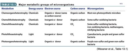 4: BIOL 165 Prokaryotes Metabolism Flashcards | Quizlet