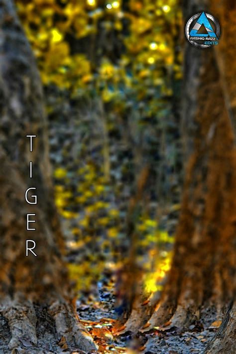Ultra Hd Cb Edit Background Hd Blur Blurring Out The Background Of