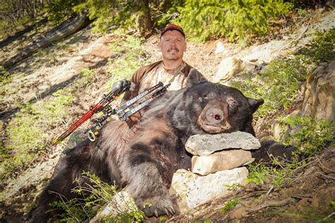 First Bear - Bear Baiting - Bear Hunting Magazine