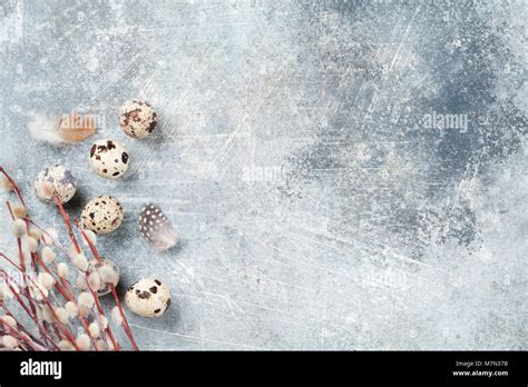 Quails Eggs And Pussy Willow Easter Greeting Card Top View With Space For Your Greetings Stock