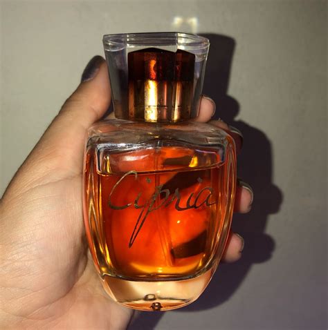 Perfume Importado Itália Perfume Feminino Shandara Usado 80590863