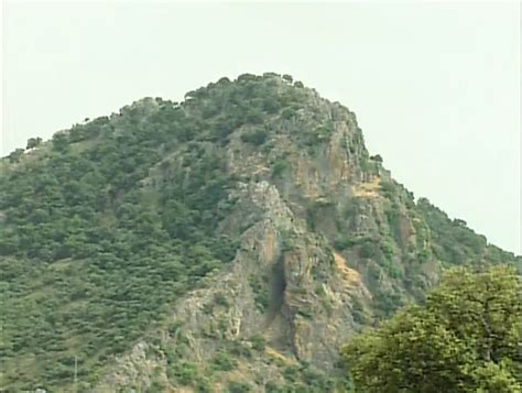 Free Gay Porn Videos Trending Porno Movies Gay XXX Videos Tube XHamster