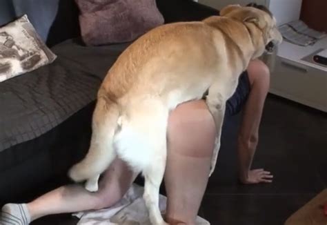Compilação de brasileiras e animais fazendo sexo Xvideos Zoofilia