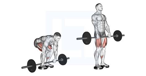 Barbell Romanian Deadlift From Deficit - Guide, Benefits, and Form