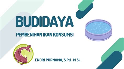 MATERI BUDIDAYA IKAN KONSUMSI PRAKARYA DAN KEWIRAUSAHAAN SMA KELAS 11