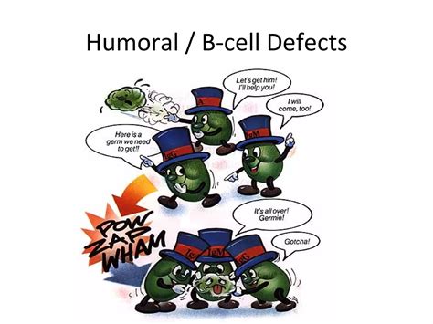 14 Primary Immunodeficiency Diseases Ppt