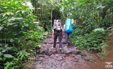 Exploring The 3 Favorite Hiking Trails Of Mount Gede