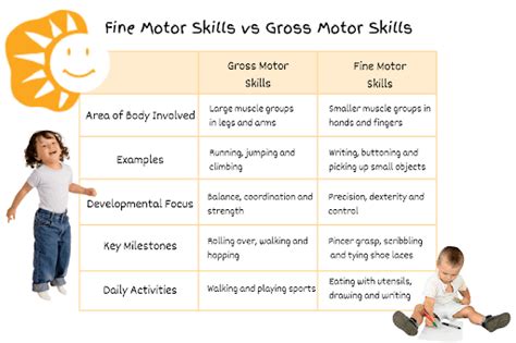 Fine And Gross Motor Skills The Key Differences Shichida Australia