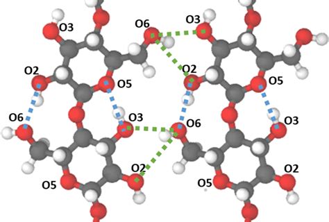 Inter And Intrachain Hydrogen Bonding Pattern On Cellulose