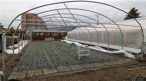 Small Plastic Hot Houses At Dennis Marquis Blog