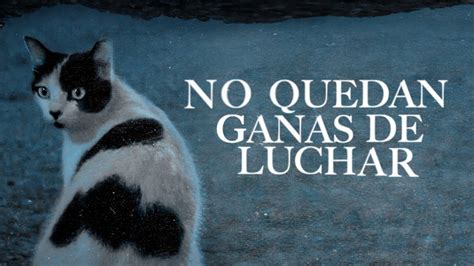 No Quedan Ganas De Luchar Lyric Video Iker Plan Youtube