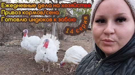 Ферма, моя ферма👩🏻‍🌾 - YouTube